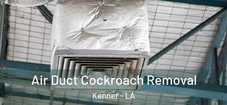 Air Duct Cockroach Removal Kenner - LA