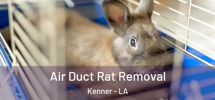 Air Duct Rat Removal Kenner - LA
