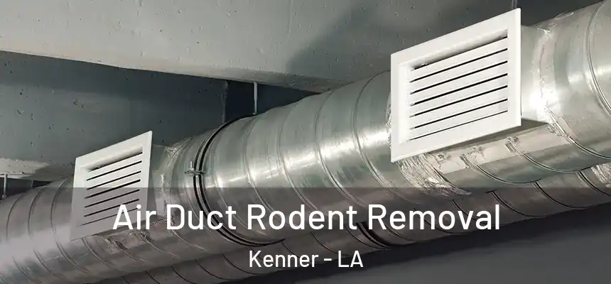 Air Duct Rodent Removal Kenner - LA