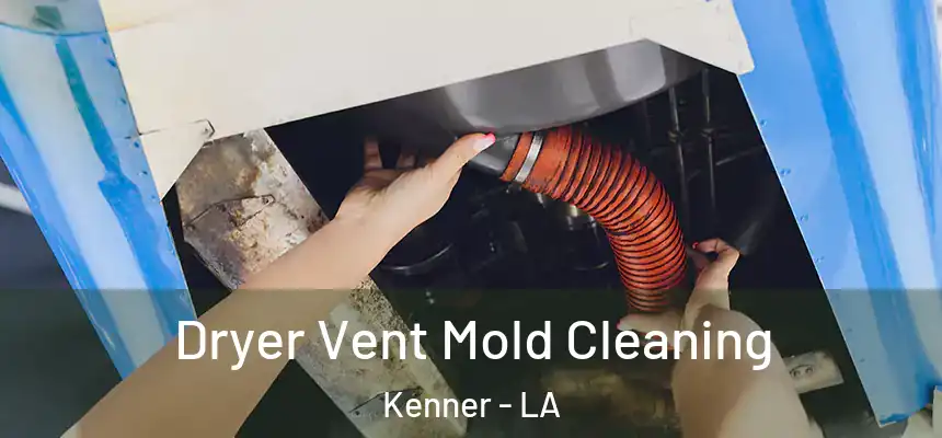 Dryer Vent Mold Cleaning Kenner - LA