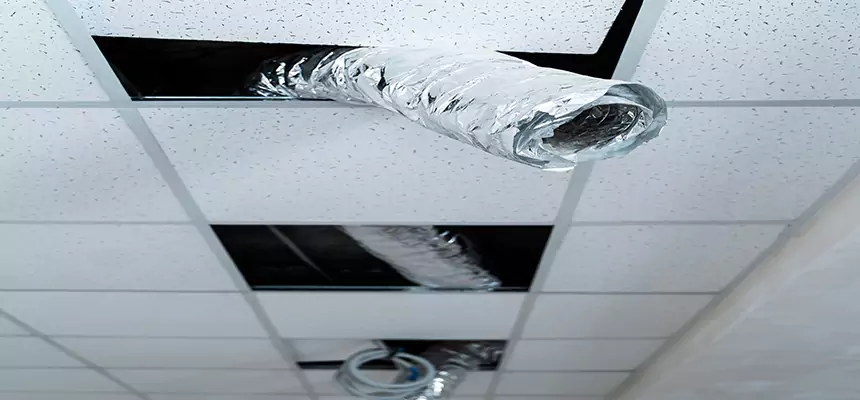 Our Air Duct Pet Hair Removal Services in Kenner, LA