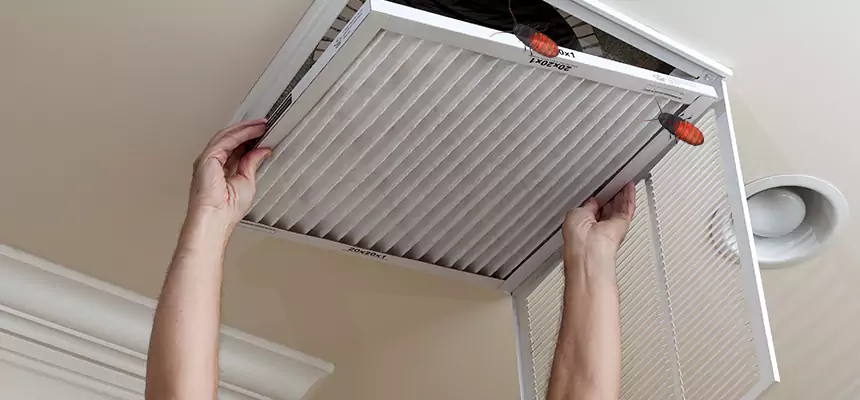 Our Insect Removal from Air Ducts Services in Kenner, LA