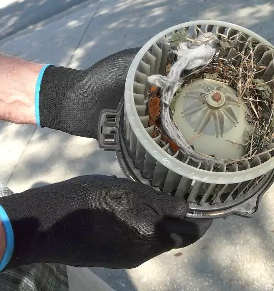 About Air Duct Rat Removal in Kenner, LA