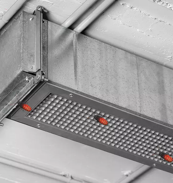 Affordable Insect Removal from Air Ducts in Kenner, LA