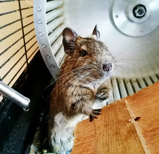 Why Homeowners & Businesses Trust Us Kenner, LA?