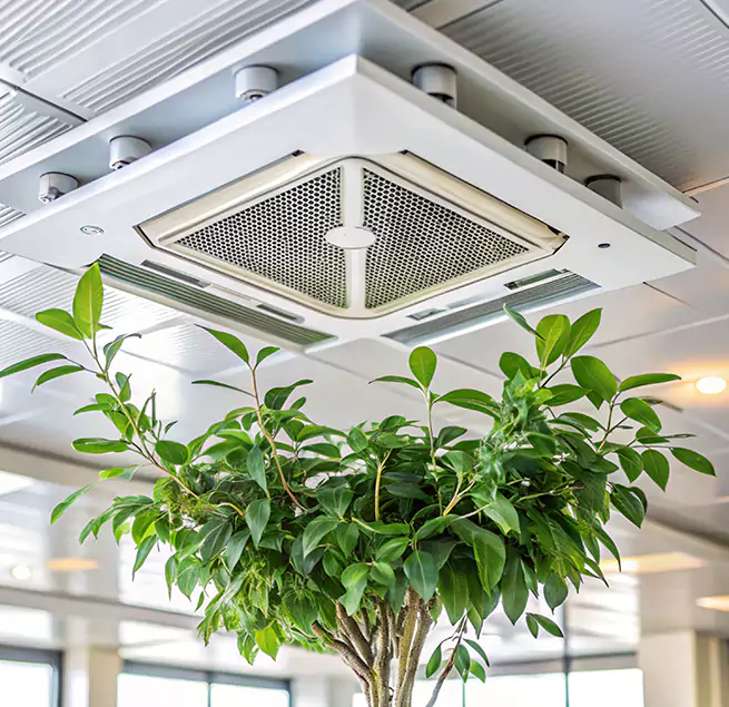 Why Homeowners & Businesses Trust Us in Kenner, LA?