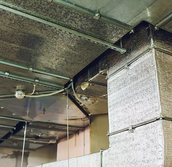 Why Homeowners & Businesses Trust Us in Kenner, LA?